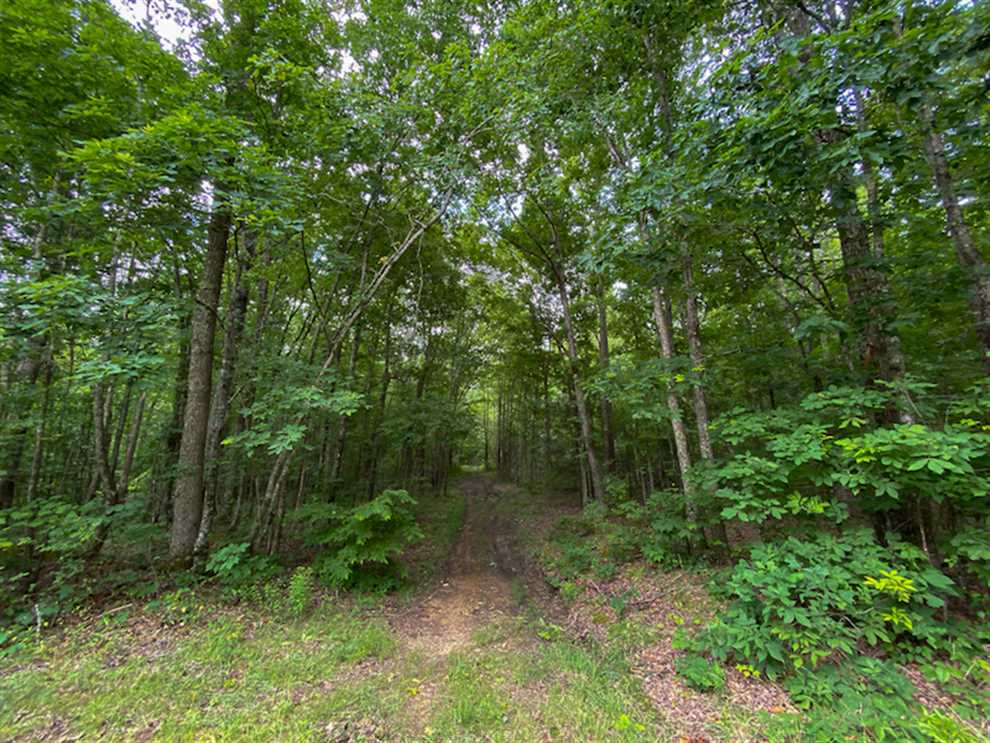 person County, North Carolina property for sale