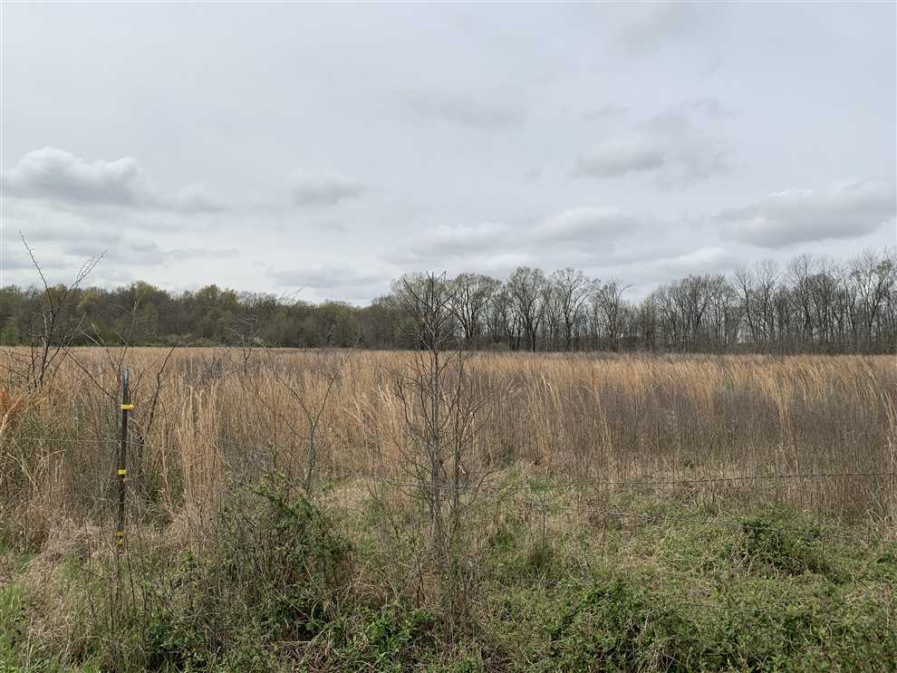 170 Acres of Recreational land for sale in cotton plant, woodruff County, Arkansas
