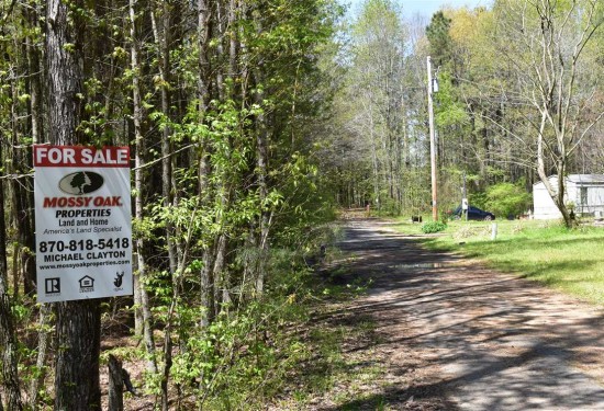 81.71 Acres of Land for Sale in nevada County Arkansas
