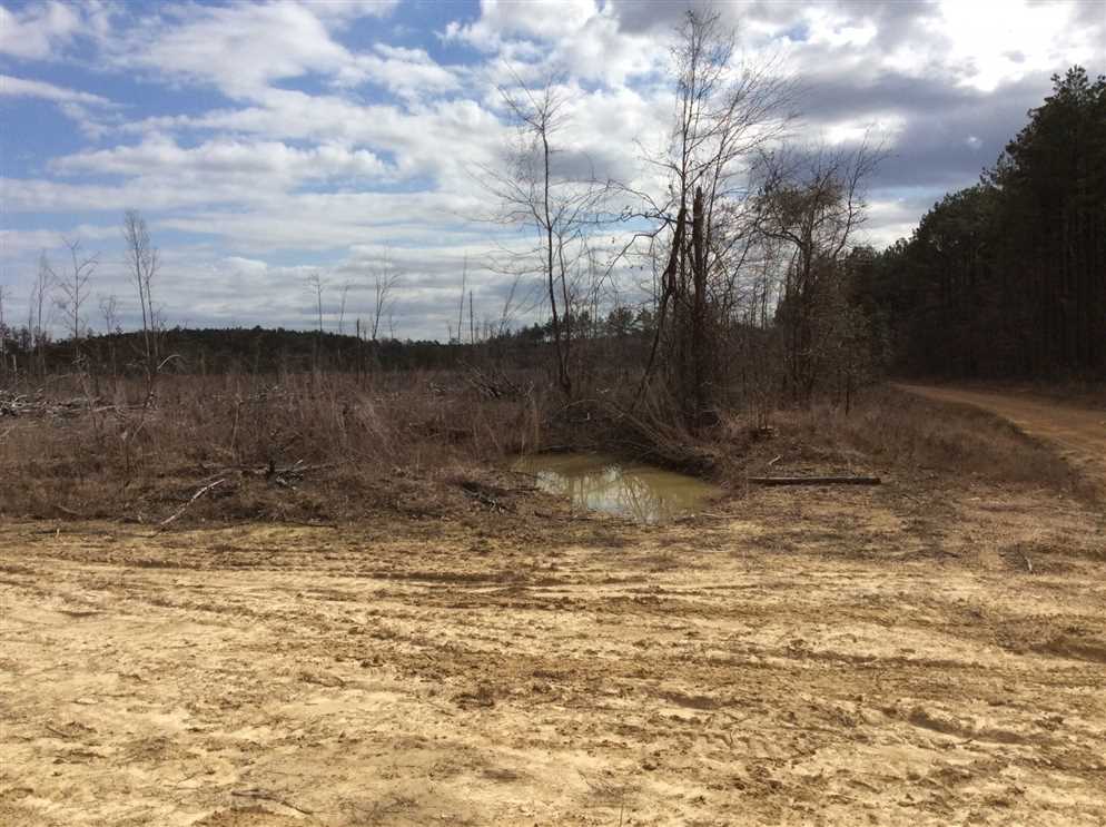 Wyant Road Tract, Caldwell Parish, 80 Acres+/- Real estate listing