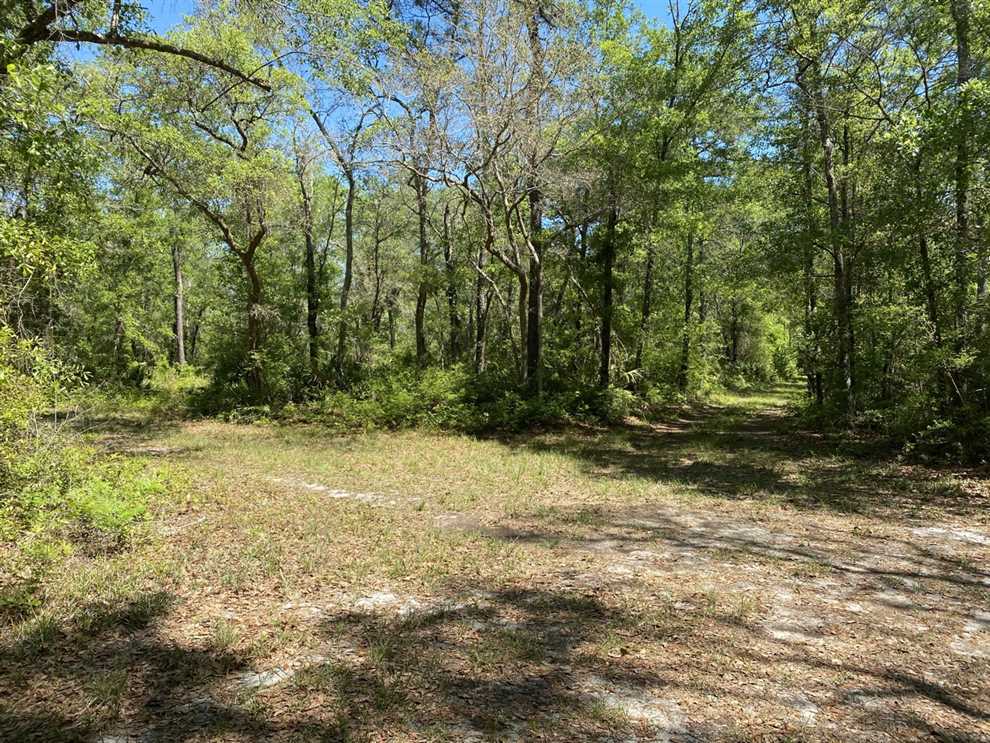 406.53 Acres of Land for sale in jefferson County, Florida