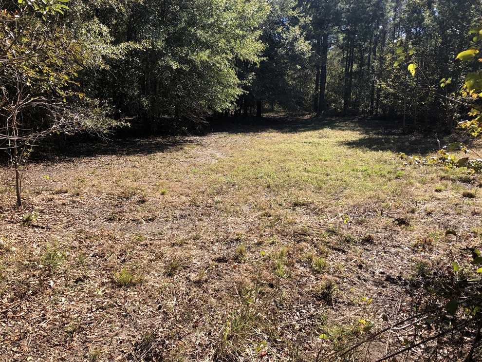 57 Acres of Residential land for sale in Vienna, dooly County, Georgia