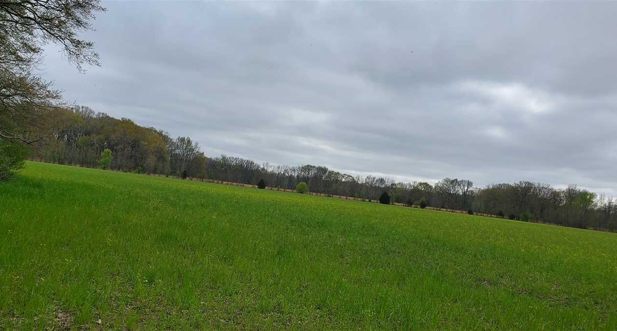 Land for sale at