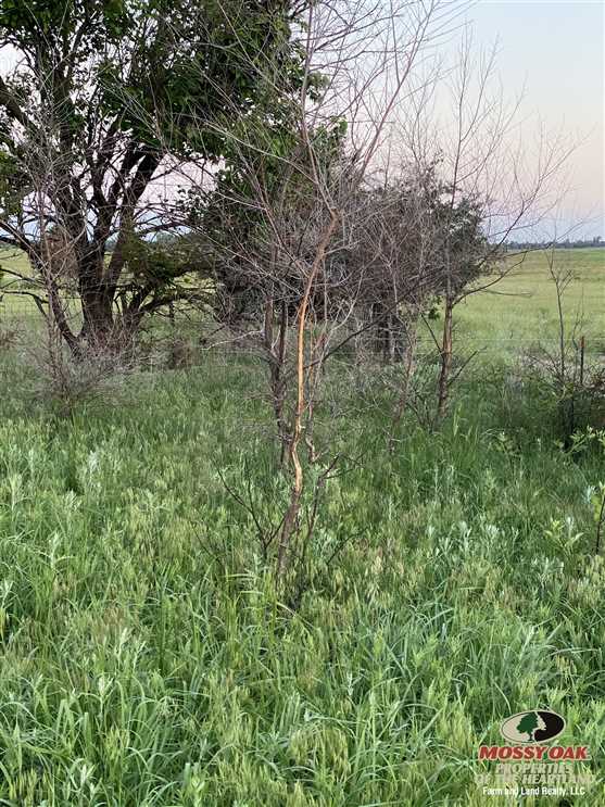 Houses and land for sale in Kansas