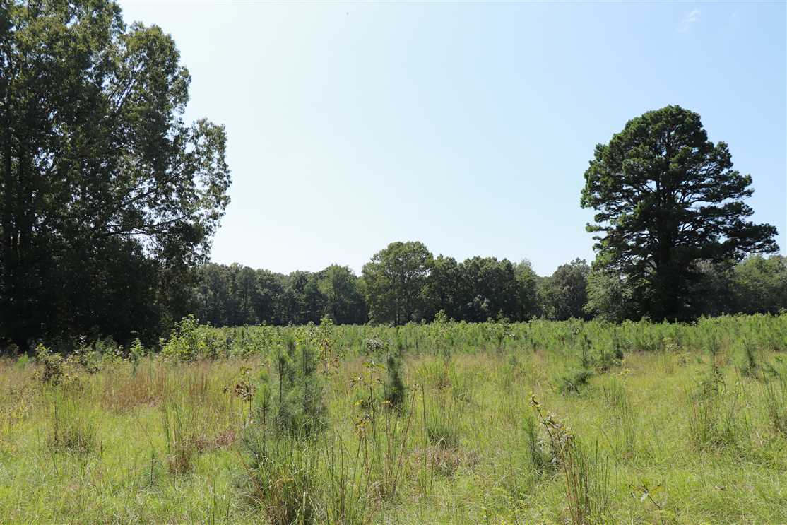 Land for sale to buy in 72143 zip code