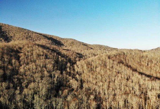 153.82 Acres of Land for Sale in watauga County North Carolina