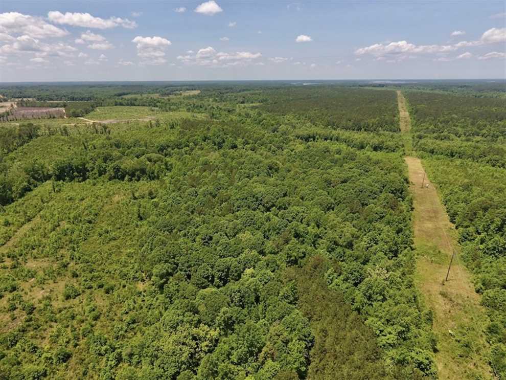 Houses and land for sale in North Carolina