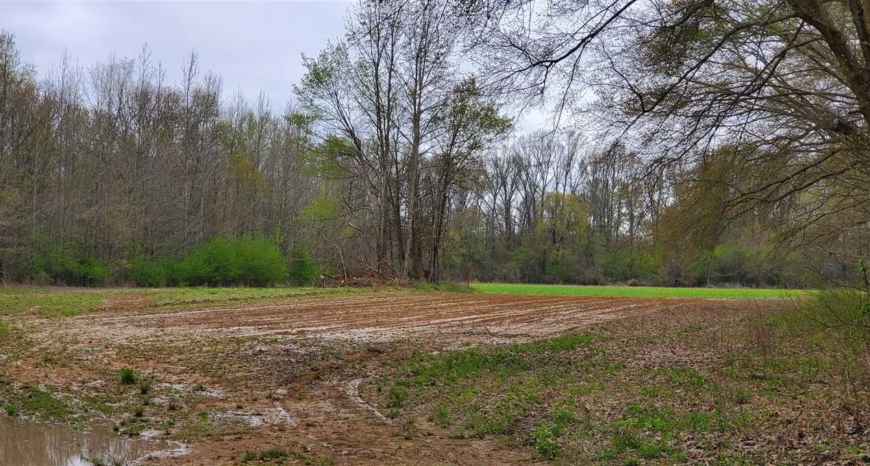 white County, Arkansas property for sale