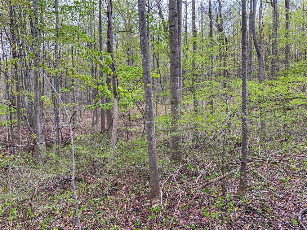 45.34 Acres of Recreational land for sale in Piketon, pike County, Ohio
