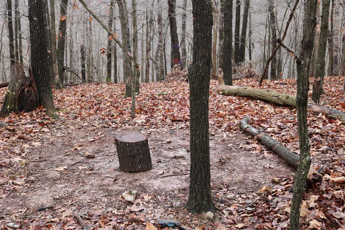 Beaver Lake 5 acres Real estate listing