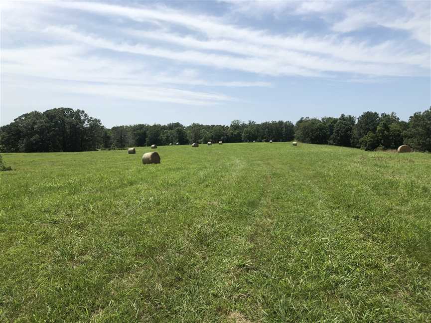 Land for sale to buy in 72455 zip code
