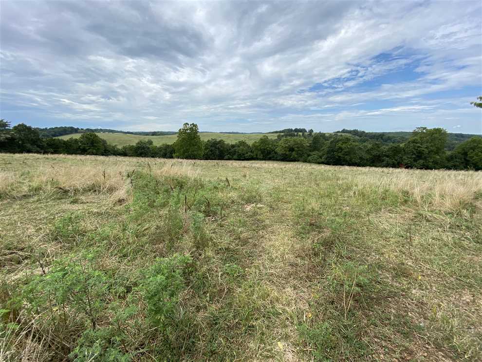 Bruno 35 Real estate listing