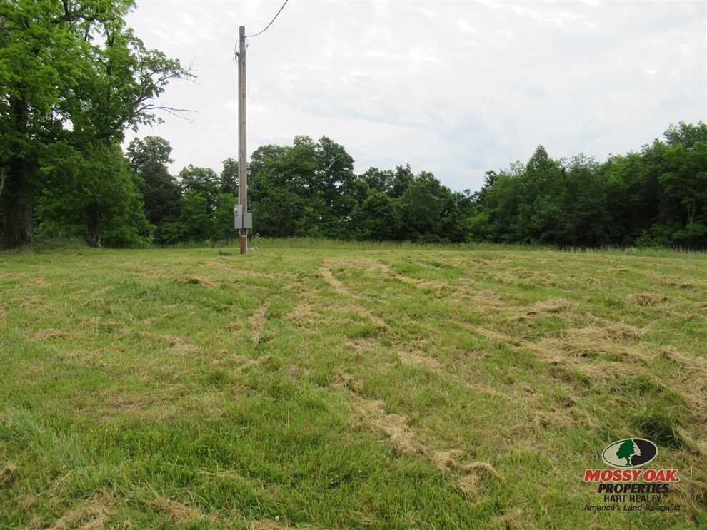 Land for sale to buy in 42743 zip code