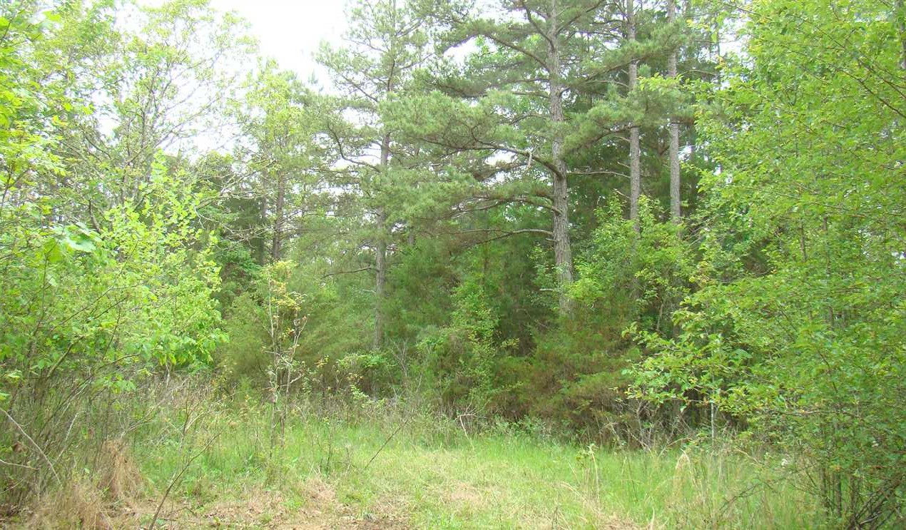 120 Acres of Recreational land for sale in Mountain View, howell County, Missouri