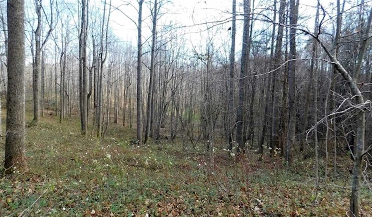 Land for sale at 1415 Peters Creek Rd