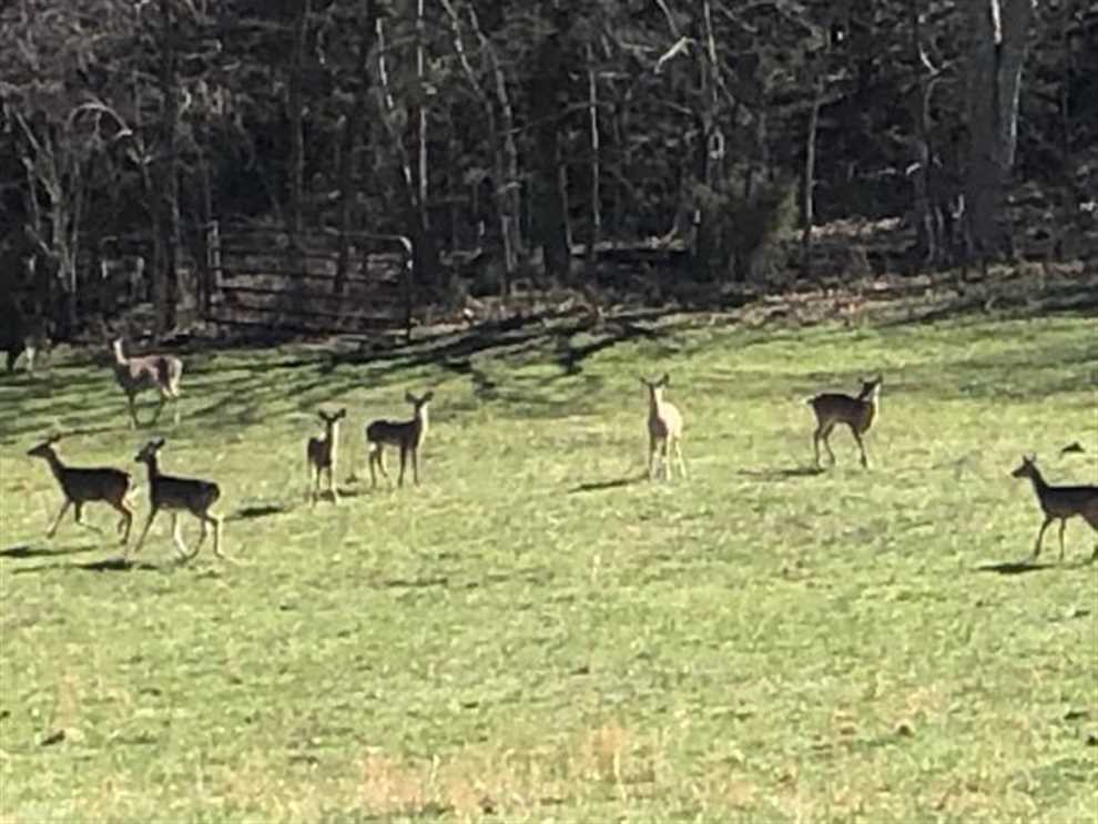 324 Acres of Land for sale in marion County, Arkansas