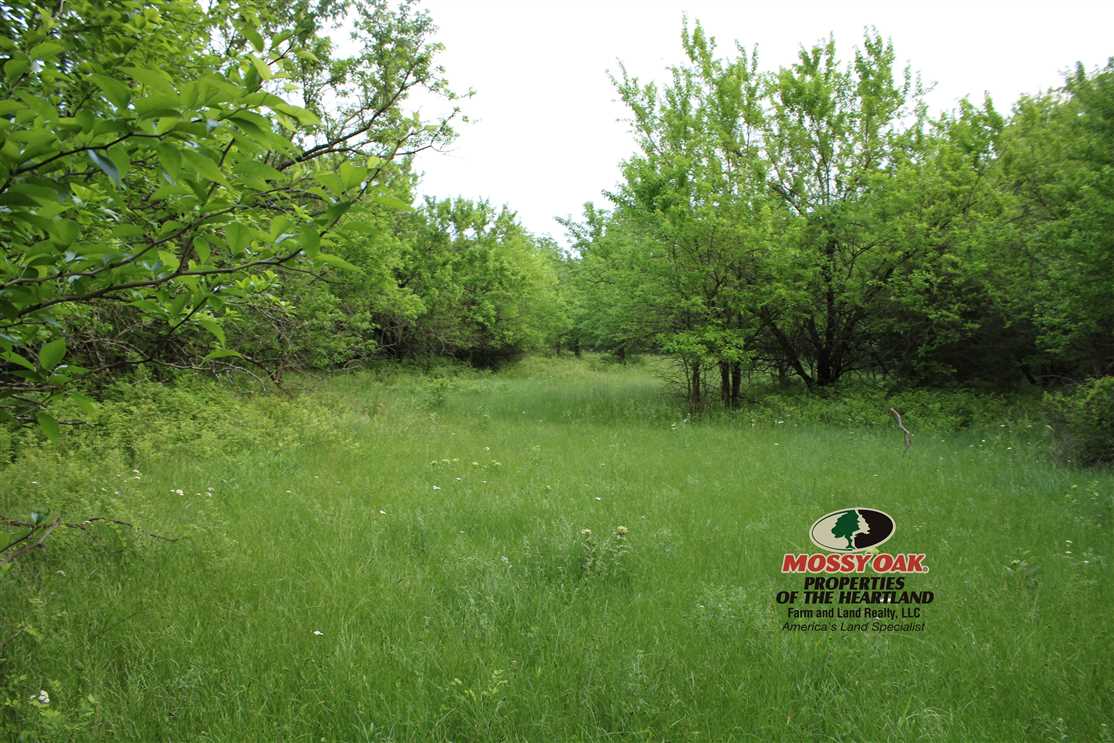 Recreational and   property for sale on The Land Market