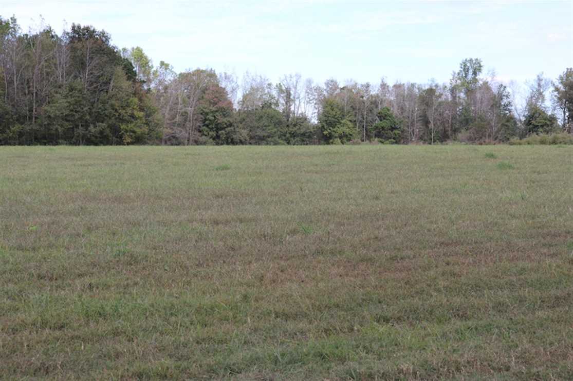 Timberland real estate available to buy