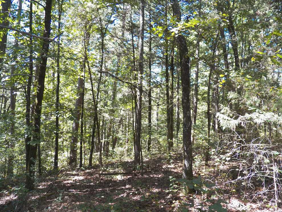 Land for sale at Jason Street