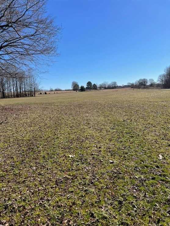 130 Acres Union Co Real estate listing