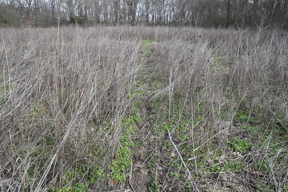 property for sale on The Land Market