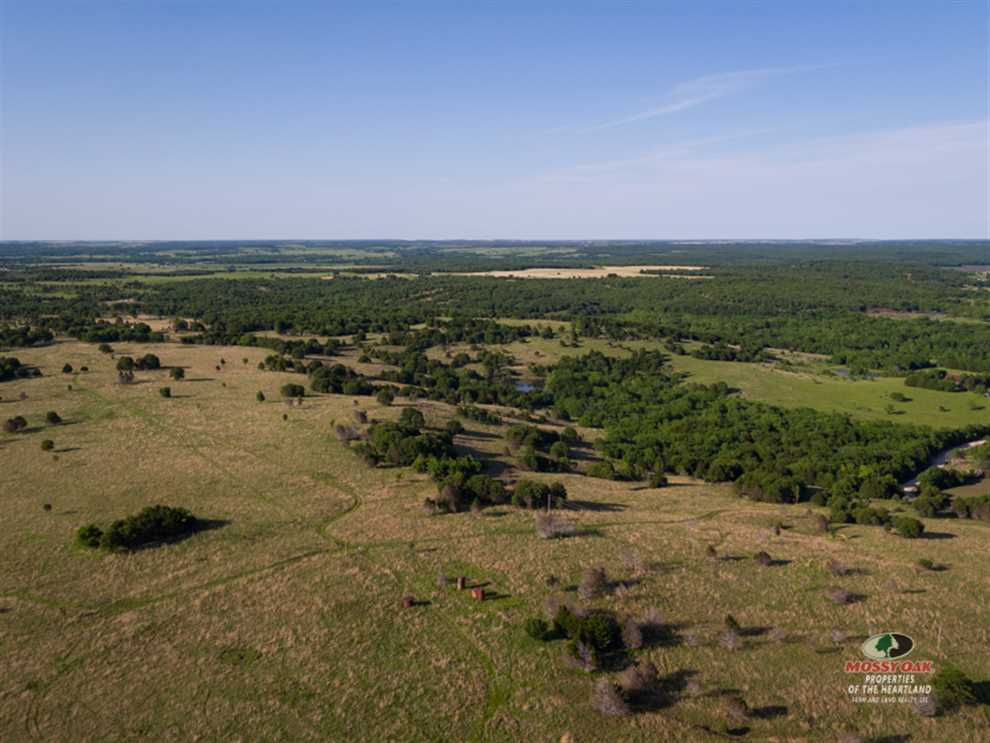 The Heart of the Hills Real estate listing
