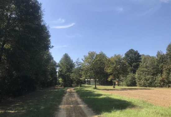 320 Acres of Land for Sale in sumter County Alabama