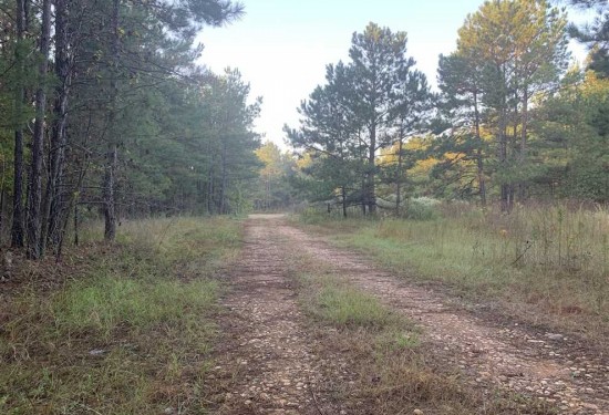 748 Acres of Land for Sale in caddo County Louisiana