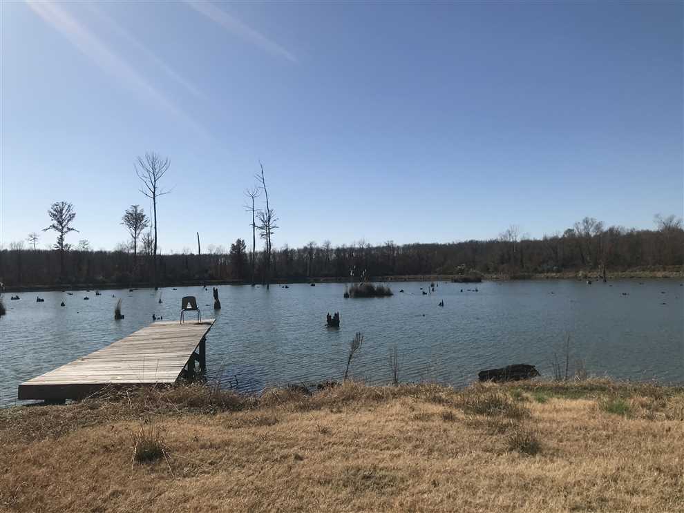98 Acres of Land for sale in tuscaloosa County, Alabama