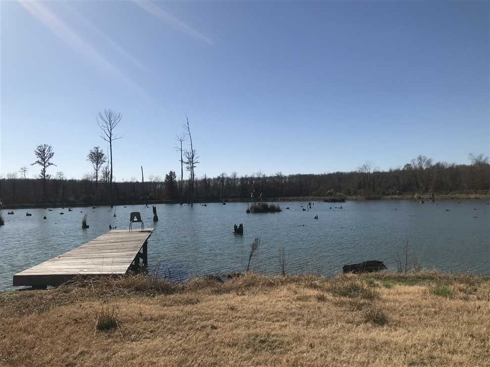 98 Acres of Land for sale in tuscaloosa County, Alabama