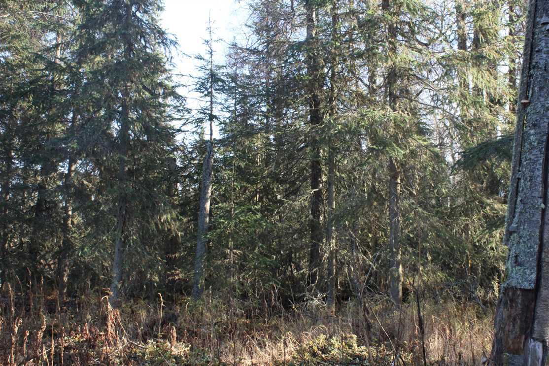 Recreational real estate available to buy