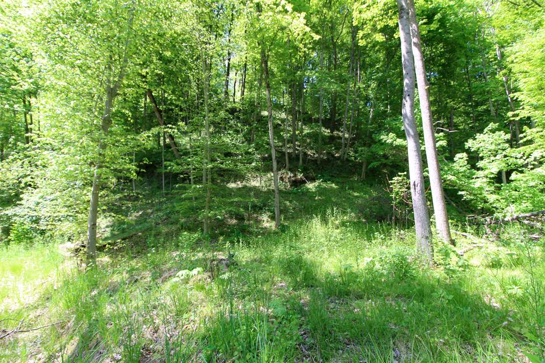 15.31 Acres of Land for sale in jefferson County, Ohio