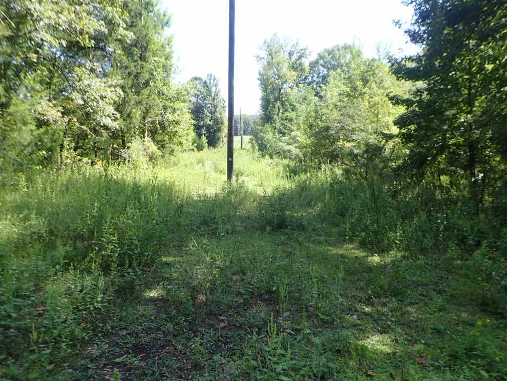23 acres in Oktoc area of Oktibbeha County!!! Real estate listing