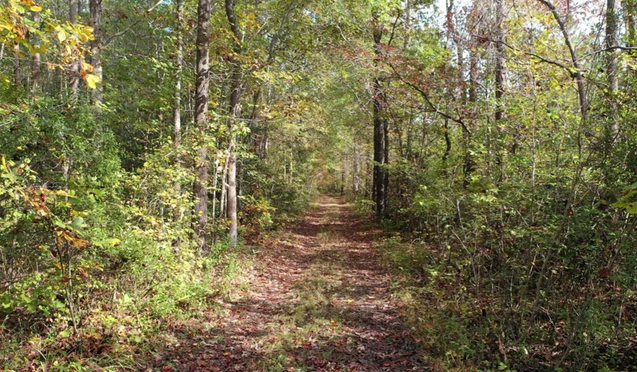 Land for sale to buy in 27839 zip code