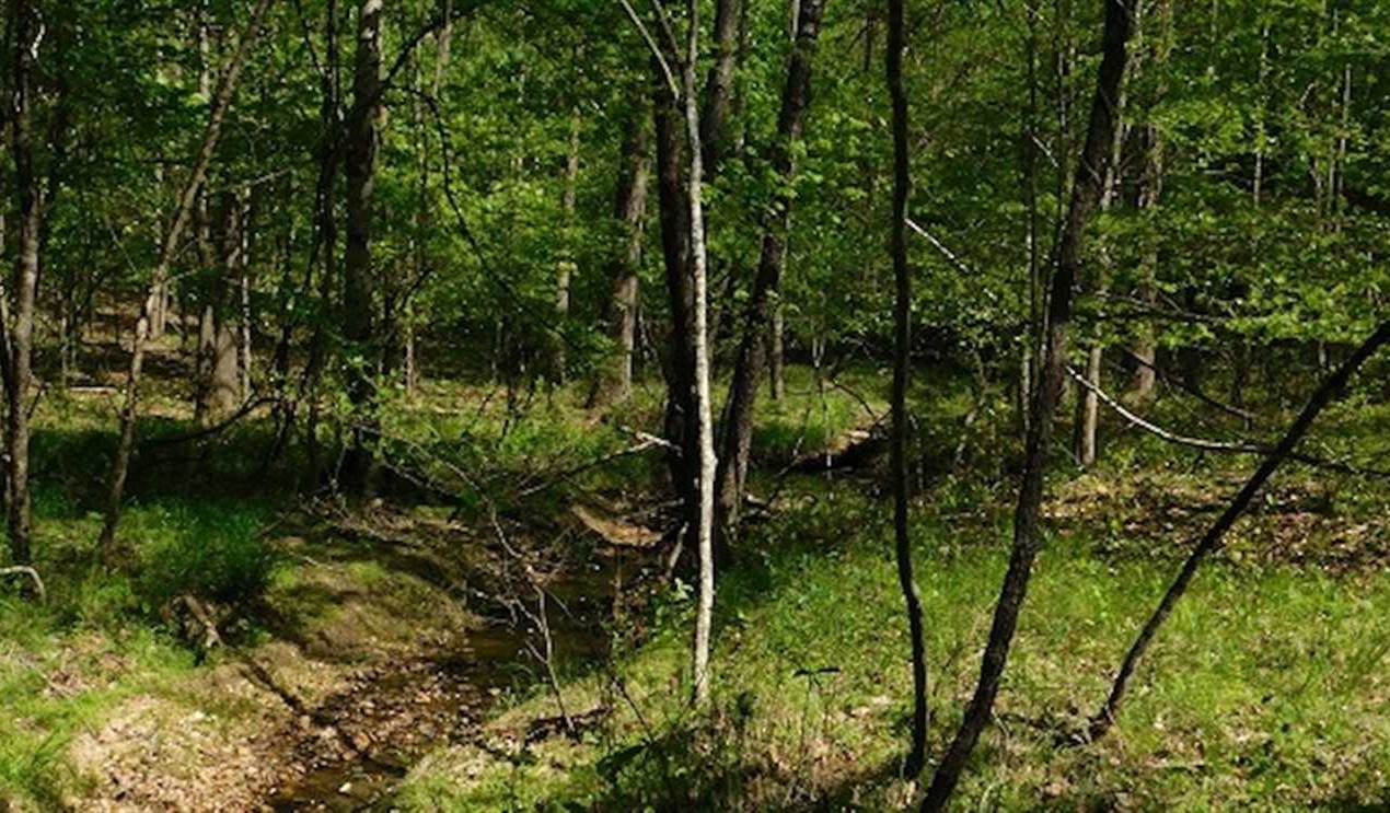 Houses and land for sale in Virginia