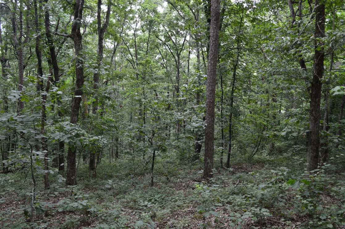 19 Acres of Residential land for sale in Clinton, van buren County, Arkansas