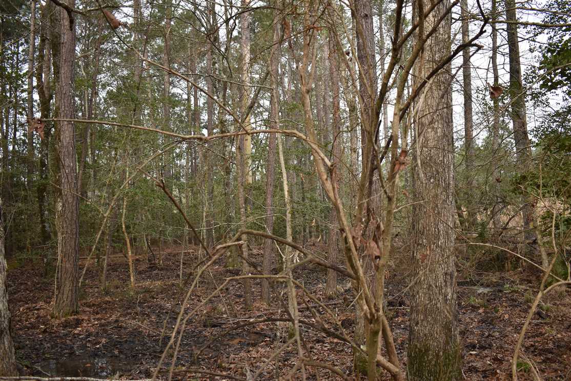 Land for sale at