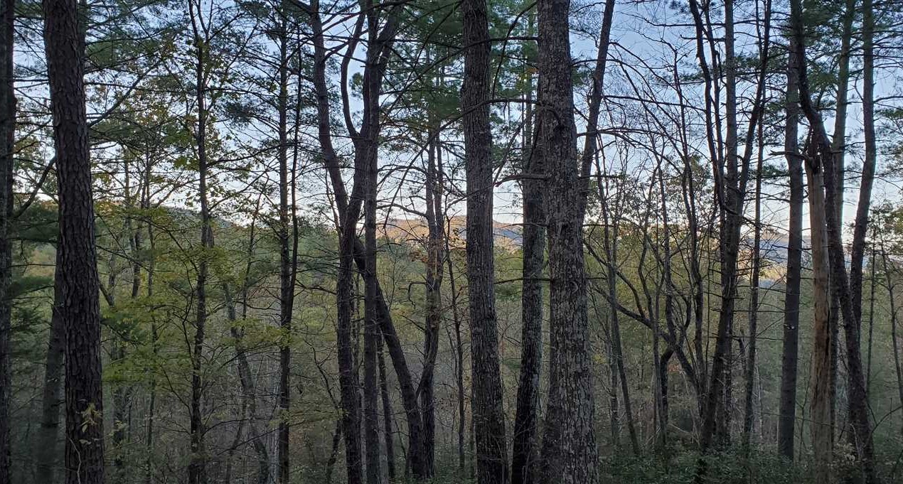 10.7 Acres of Land for sale in caldwell County, North Carolina