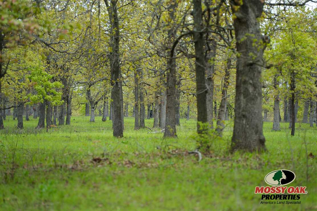 Property for sale at