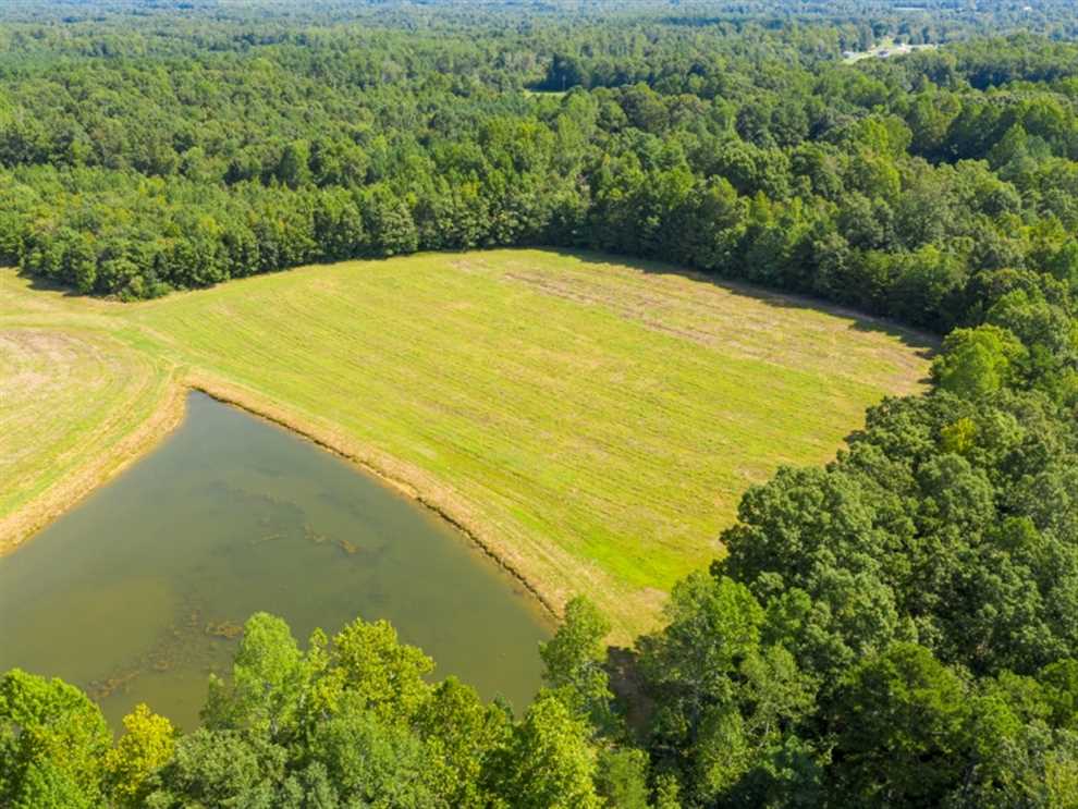 alamance County, North Carolina property for sale