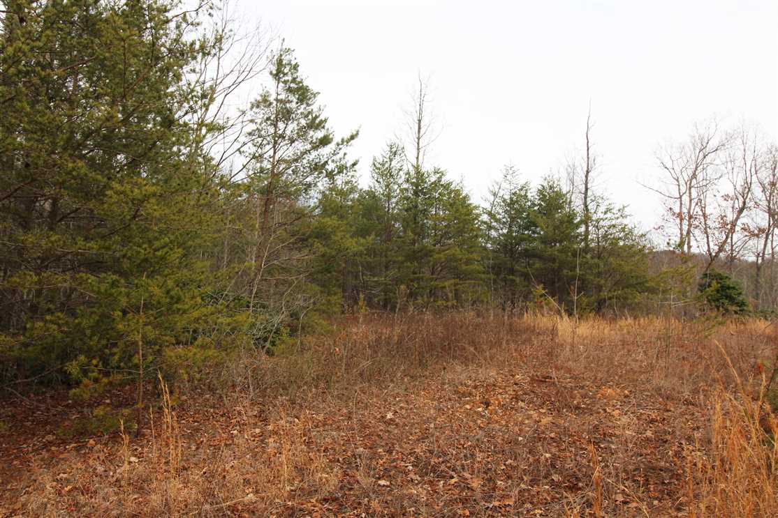104.24 Acres of Residential land for sale in Thurmond, surry County, North Carolina