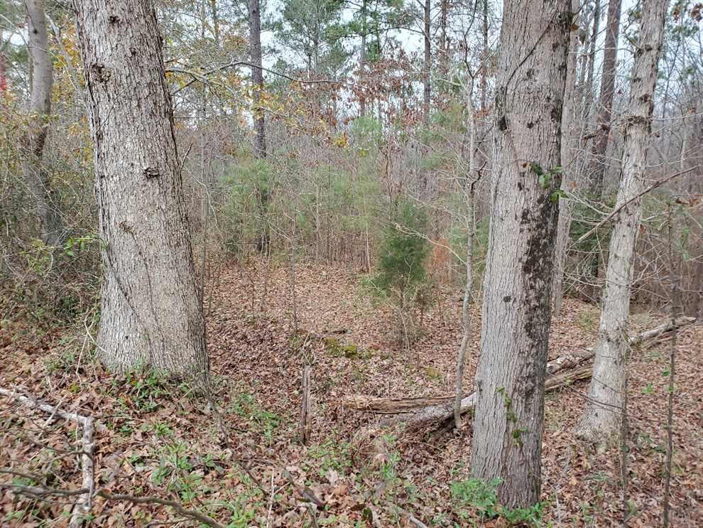 33+/- Acres in Shelby, Cleveland County Real estate listing
