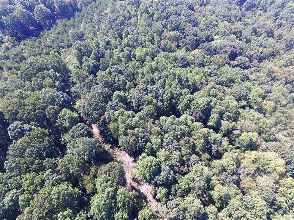 35.5 Acres of Recreational land for sale in Moneta, bedford County, Virginia