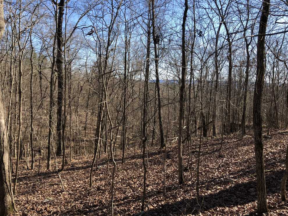 PRICE REDUCED on Greer's Ferry Lake Lakeview Property. 15.74-Acres Ready For The Home Of Your Dreams! Real estate listing