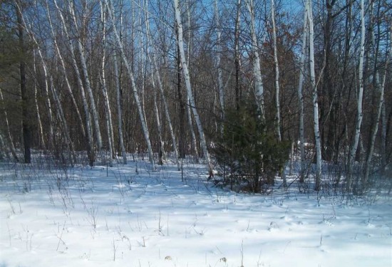 116.45 Acres of Land for Sale in portage County Wisconsin