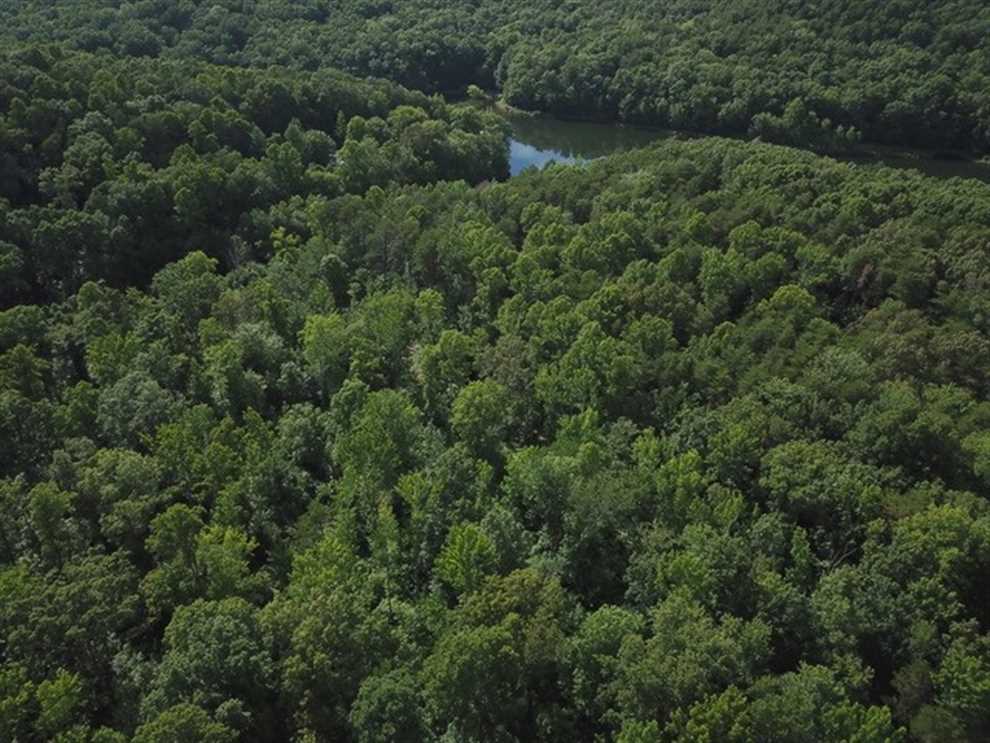 50.4 Acres of Land for sale in van buren County, Tennessee