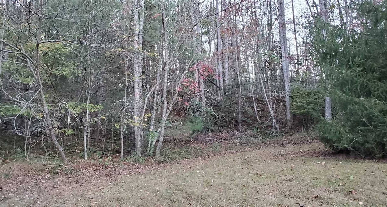 caldwell County, North Carolina property for sale