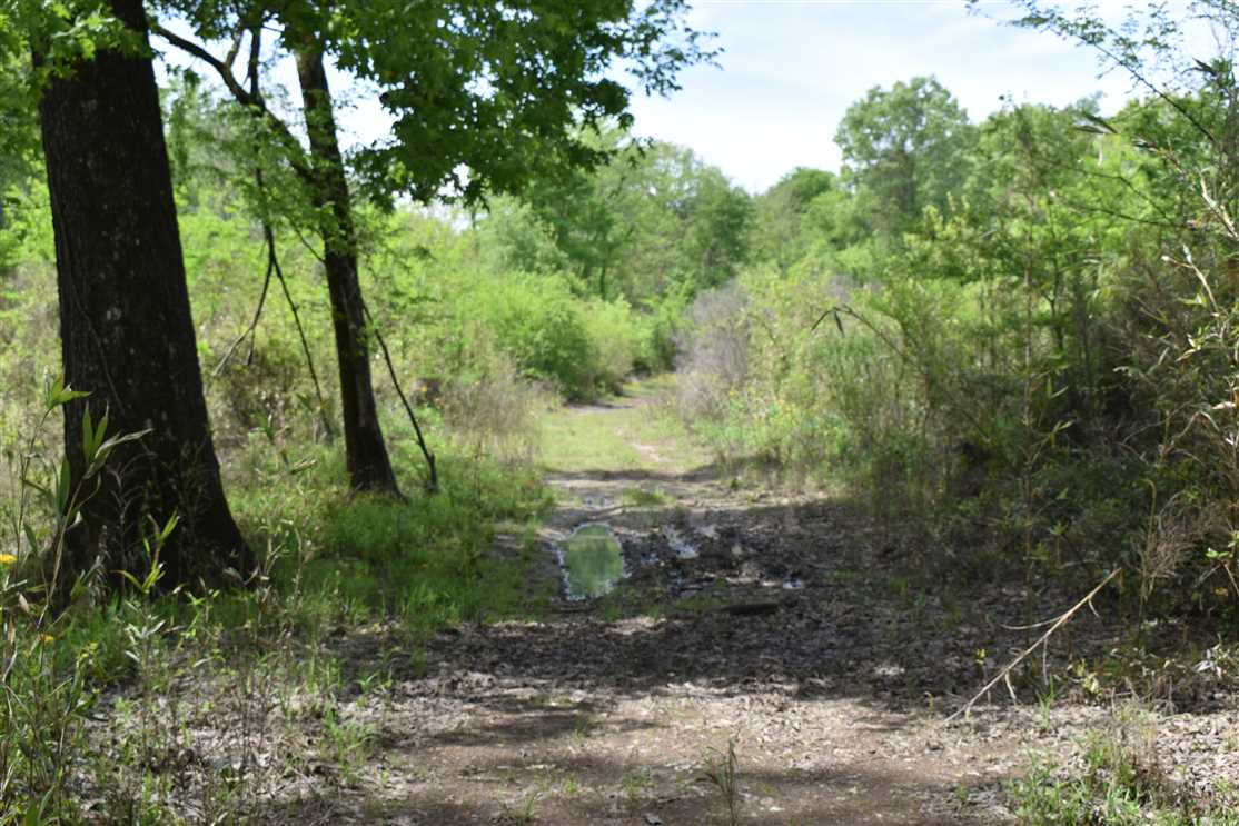 Land for sale to buy in 71857 zip code
