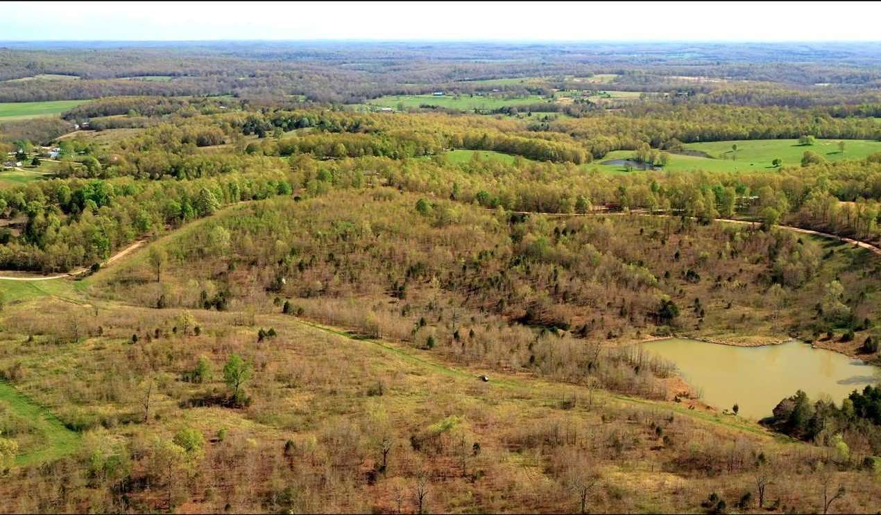 Land for sale at Young Road
