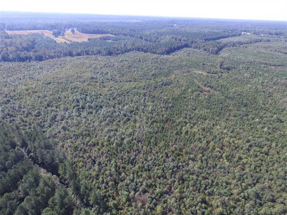 Houses and land for sale in Virginia